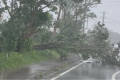 Nhật Bản "báo động" vì bão lớn: Gió quật đổ xe, sóng đánh dồn dập; đã có người thiệt mạng
